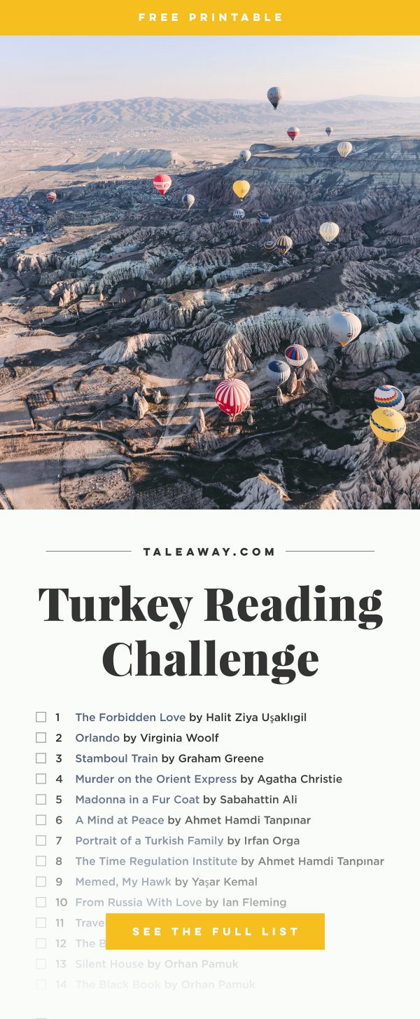 travel books for turkey